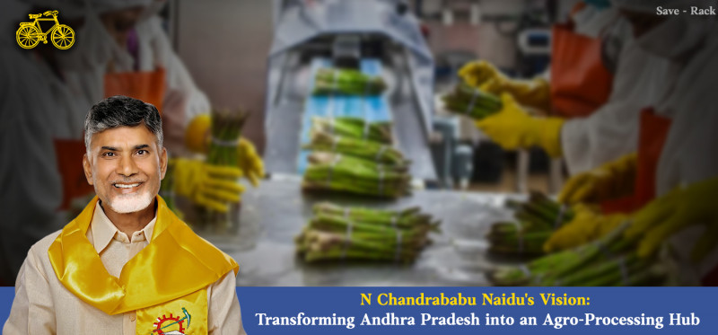N Chandrababu Naidu's Vision: Transforming Andhra Pradesh into an Agro-Processing Hub: 