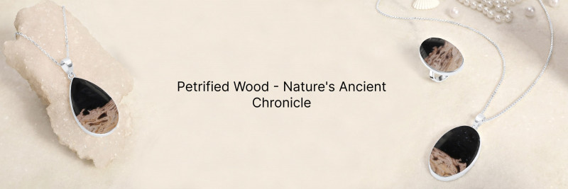Petrified Wood Tales: Nature's Ancient Story in Stone: 