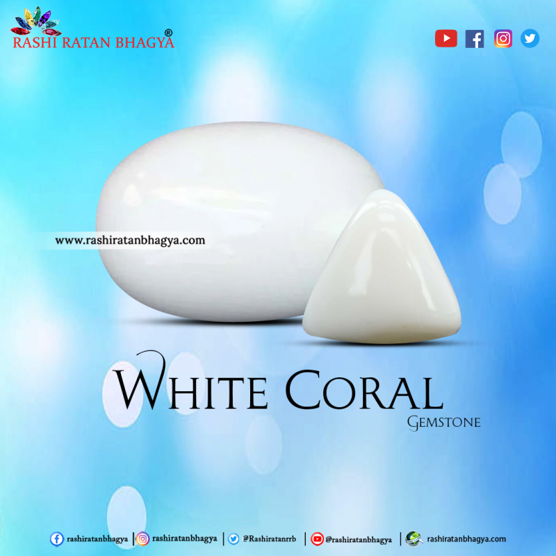 Get White Coral Stone Online from Rashi Ratan Bhagya: 