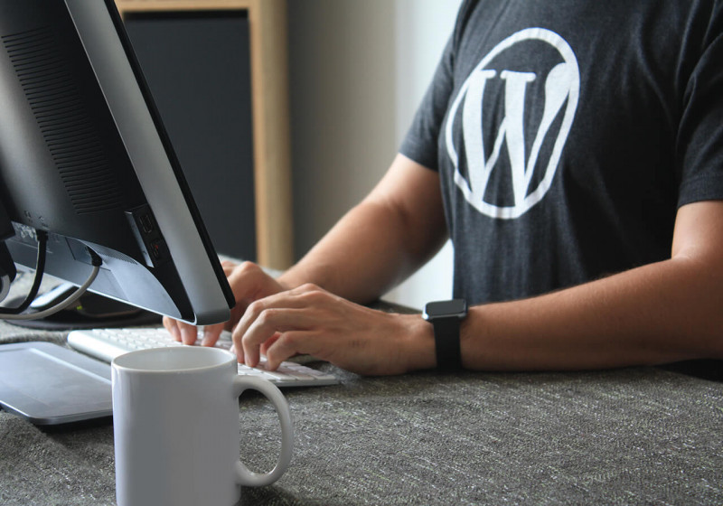 WordPress Website Design Guide: Things To Know Before Creating WordPress Websites | SFWPExperts: 