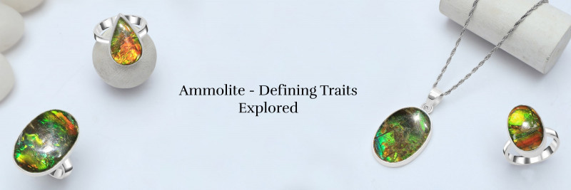 Explore The World of Ammolite Jewelry: 