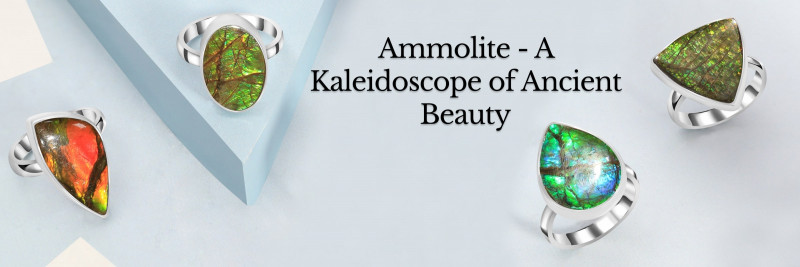 Ammolite Abundance: Exploring the Kaleidoscope of Ancient Opulence: 