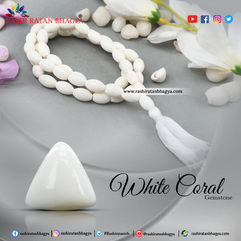 White Coral Stone Online At Wholesale Price: 