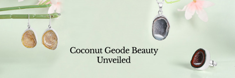Coconut Geode Charms: Exploring Nature's Cracked Coconut: 