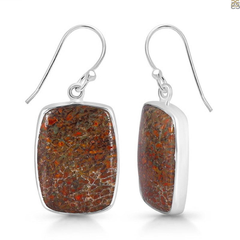 Dinosaur Bone Earrings - Add A Unique Pair To Your Jewelry Collection: 