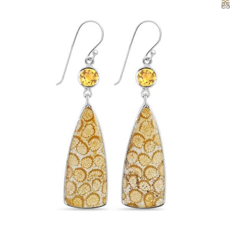 Fossilized Coral Earrings Fossilized Coral Jewelry Gemstones: 