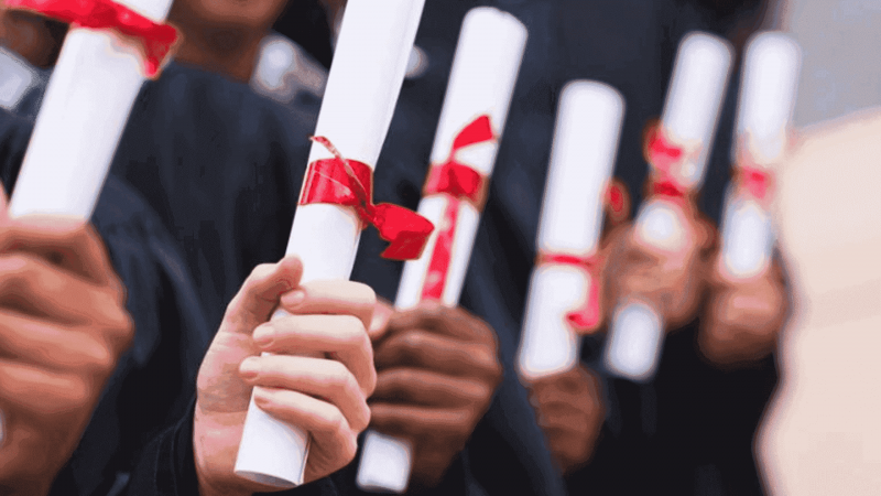 The Scope Of Bachelor’s Degree In The USA: Job Opportunities and Prospects | Vati