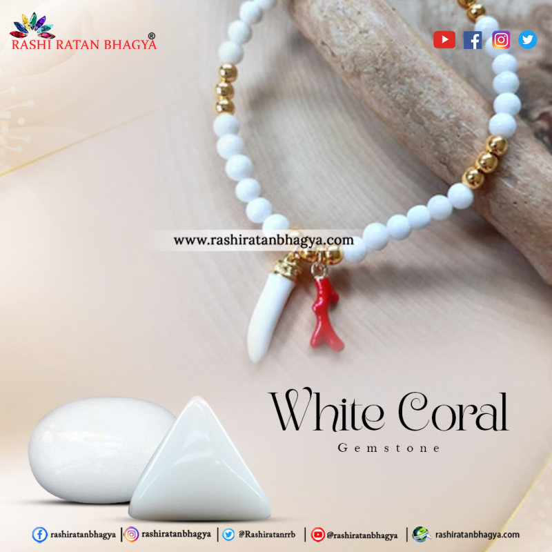 Get Certified White Coral stone at Best Price: 