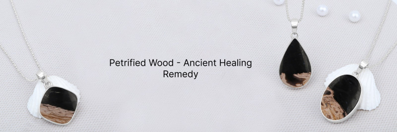 Petrified Wood Tales: Nature's Ancient Story in Stone: 