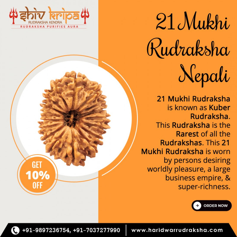 21 Mukhi Rudraksha