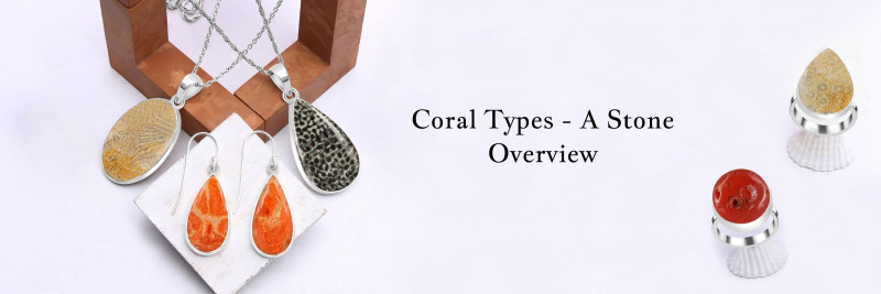 Types of Coral Stone - A Complete Guide: 