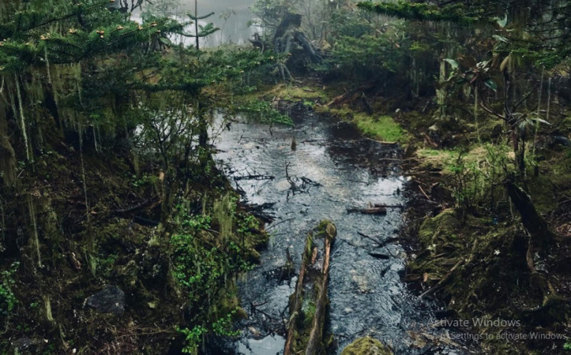 Outdoor Essentials: Must-Have Items for Your Next Adventure: 