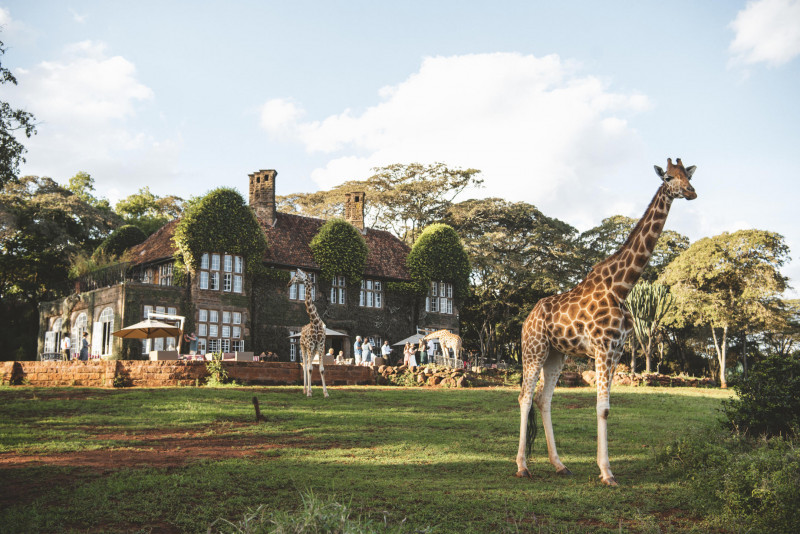 Discover the Wild: Kruger National Park Resorts by Vencha Travel