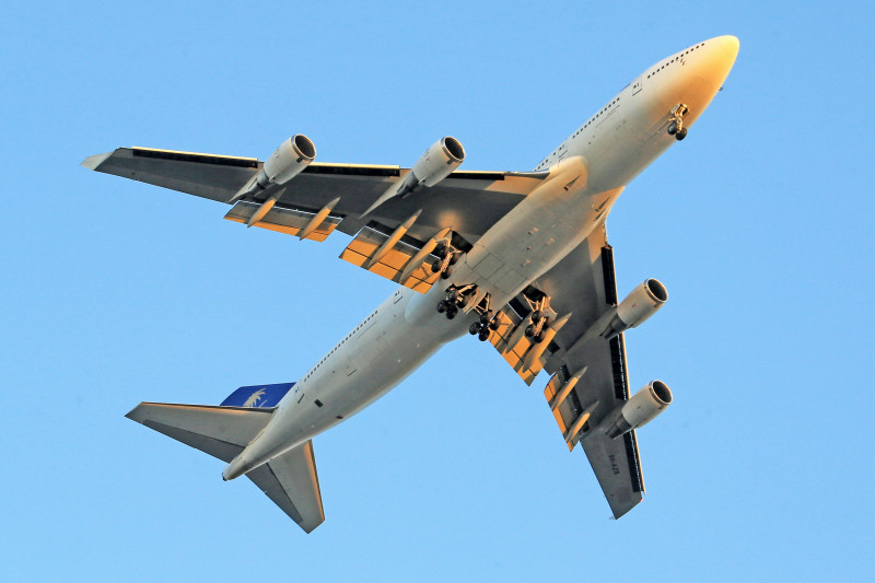 How Do You Add TSA PreCheck® to United Airlines?: 