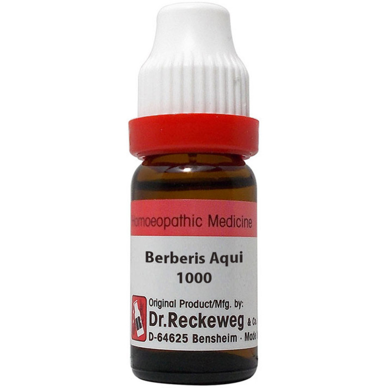 Dr. Reckeweg Berberis Aquifolium 1000 CH (11ml) | Homoeobazaar: 