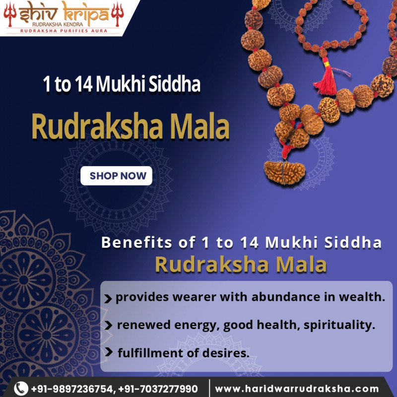 Rudraksha Mala