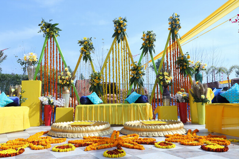 Best Wedding Resort in Jim Corbett