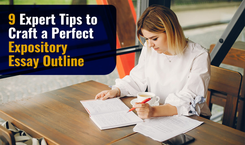 9 Expert Tips to Craft a Perfect Expository Essay - Blogspostnow.com: 