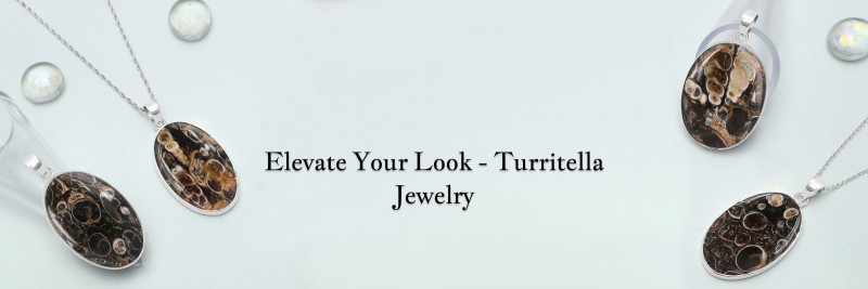 Silver Turritella Jewelry: Timeless Beauty for Any Occasion: 