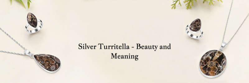 Silver Turritella Jewelry: Timeless Beauty for Any Occasion: 