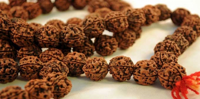 Buy Rudraksha Online