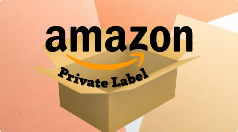 Unlocking the Power of Amazon Private Label for Brand Growth: 