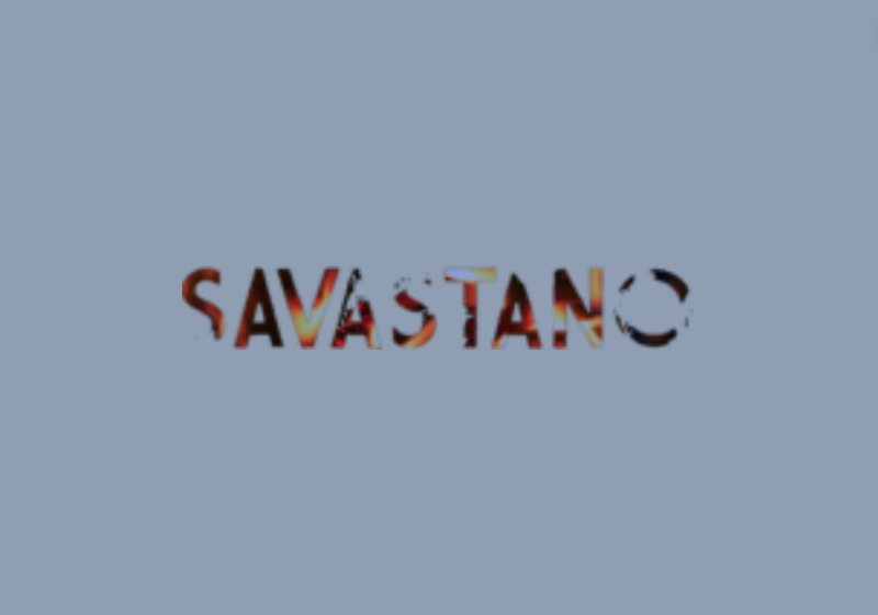Everything You Need to Know About Ordering CC Bins Dumps from Savastan0.cc: 