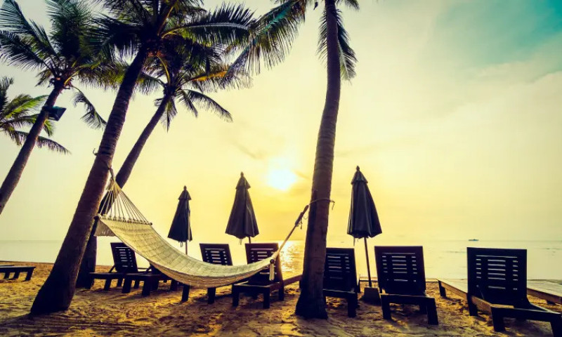 A Local’s Guide to Goa: 6 Essential Experiences: 