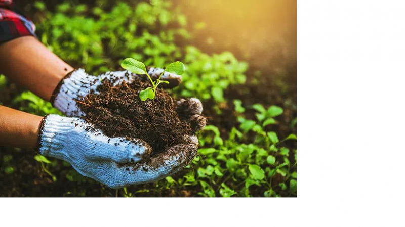 Tata Fertilizer Distributorship: 