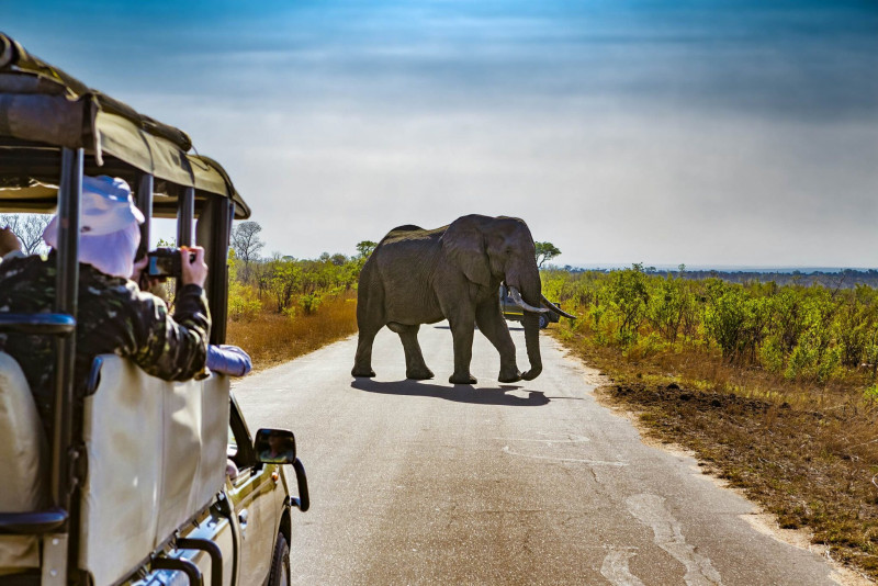Unforgettable Family Safaris in Africa: Adventure for All Ages: 
