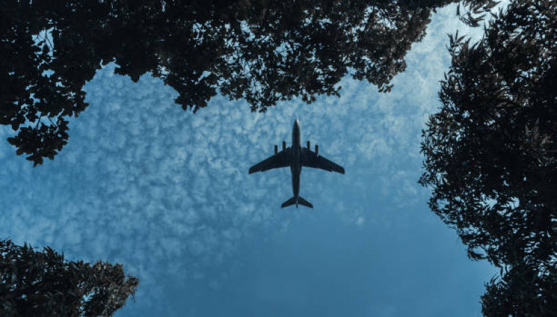 JetBlue Airlines FLL Terminal: 