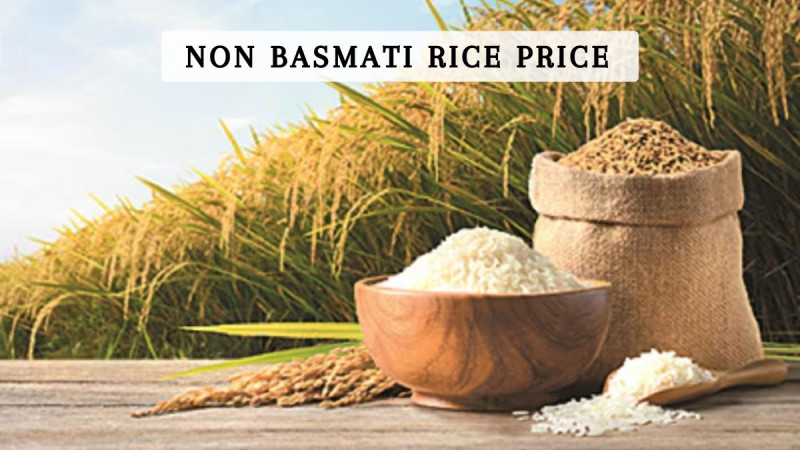 What is the Cost of Non Basmati Rice?: 