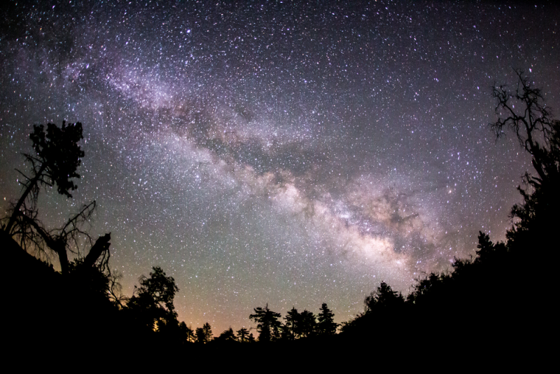 Horoscope and Career: How to Use Astrology to Advance Your Professional Life: 