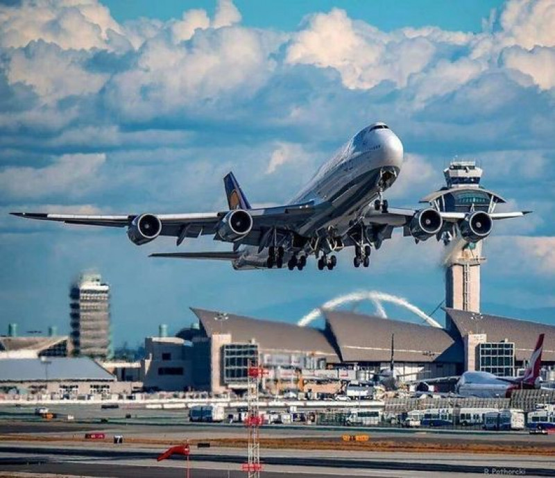 Turkish Airlines DXB Terminal: 