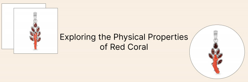 Red Coral History, Healing Properties, Benefits, Uses & Styling: 