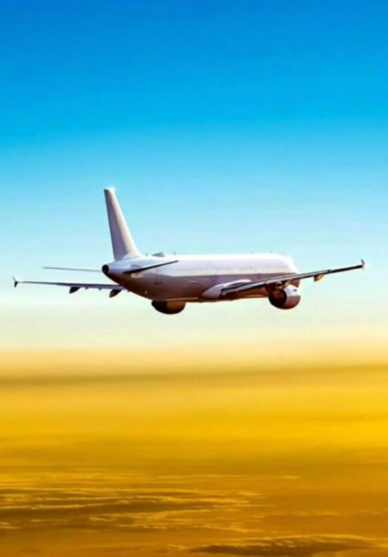 Virgin Atlantic Special Assistance (+1-877-419-4448): 