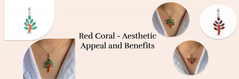 Revelation Of Red Coral Meaning, Astrological Benefits, & Healing Properties: 