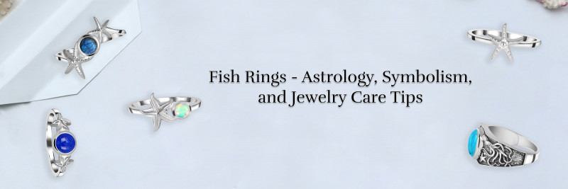 The Ultimate Guide for Jade Ring Mastery - Expert Tips for Ring Care & Longevity: 