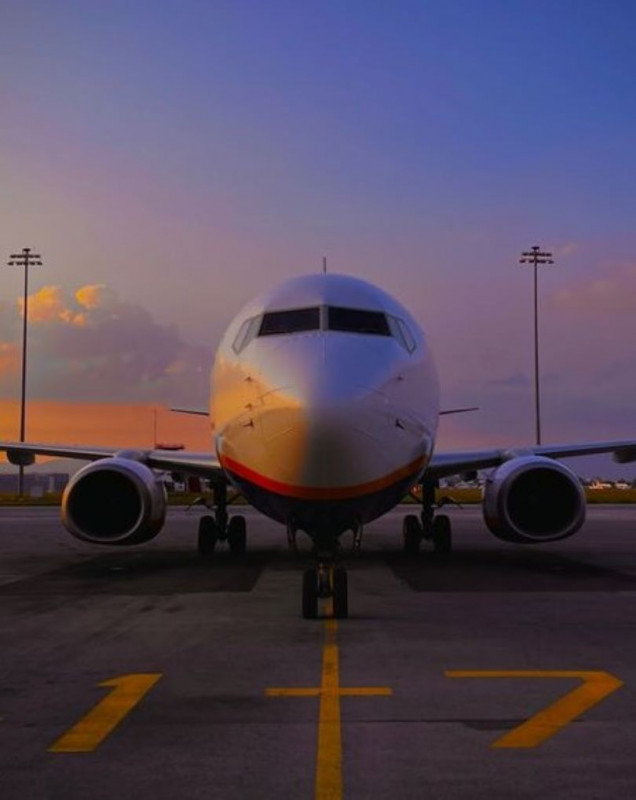 Wizz Air Pet Policy (+1-877-419-4448): 