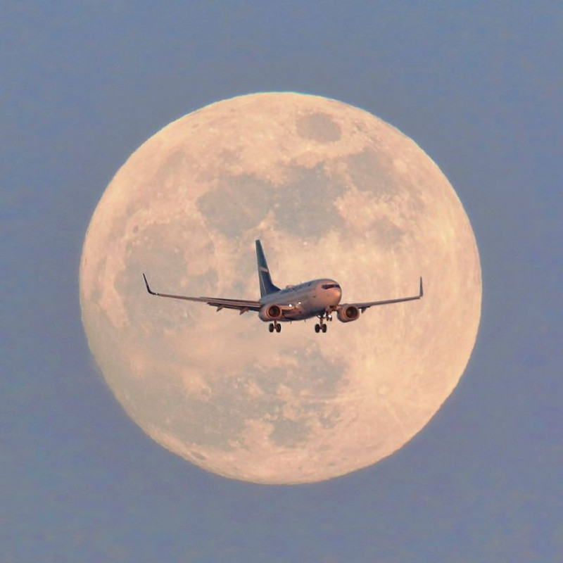 Volaris SMF Terminal +1–888–839–0596: 
