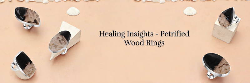 Petrified Wood Rings: Recuperating Advantages and Care Tips: 