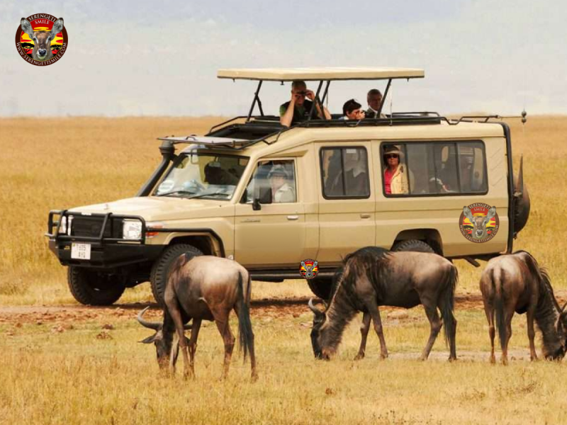 Discover the Best Tanzania Safari Tour Operators: 