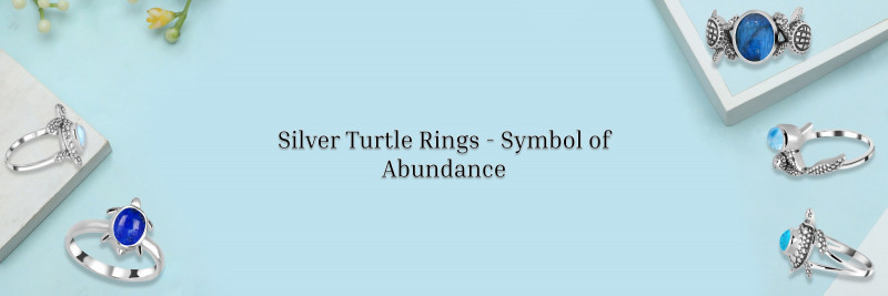 A Complete Guide to Silver Turtle Ring: Not Just an Accessory But a Delightful Token of Abundance!: 