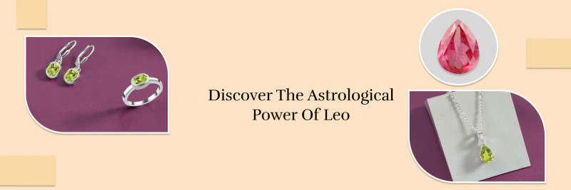 LEO: A Journey to the Stars: 