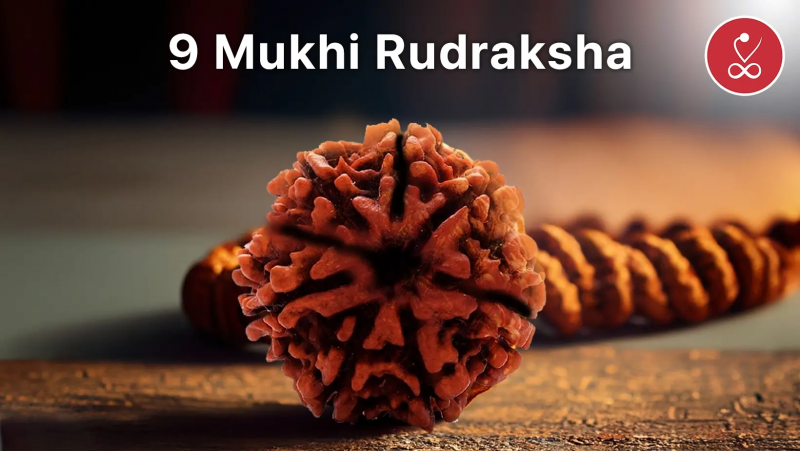 Discover the Power of 9 Mukhi Rudraksha – A Symbol of Divine Energy: 