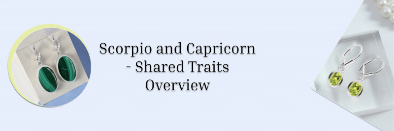 What You Wouldn't Expect About the Scorpio and Capricorn Compatibility: 