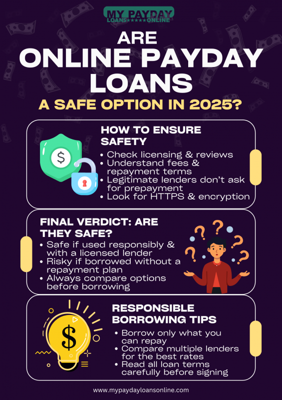 Online Payday Loans in 2025: Safe or Risky? Find Out Now!: 
