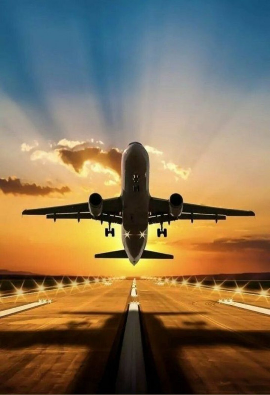Southwest Airlines FLL Terminal +1-888-839-0502: 