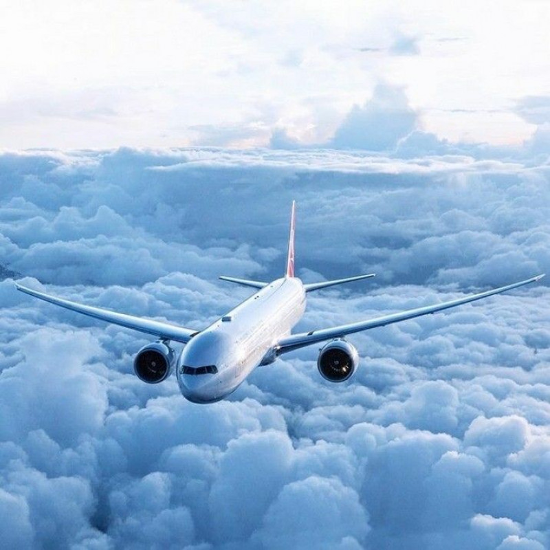 Brussels Airlines JFK Terminal +1-888-839-0502: 