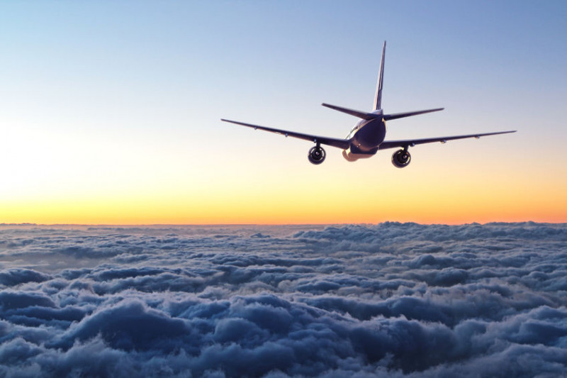 Turkish Airlines Podgorica Office +1–888–839–0502: 